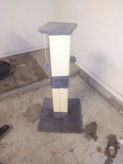 Cat table