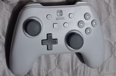 Nintendo switch controllers