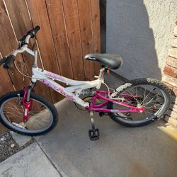 Pacific Chromium Bike 