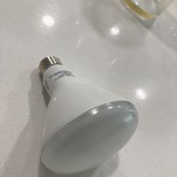 20 LED Light Bulbs