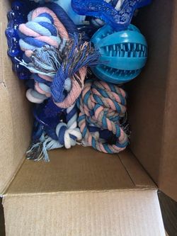 Small dog toys