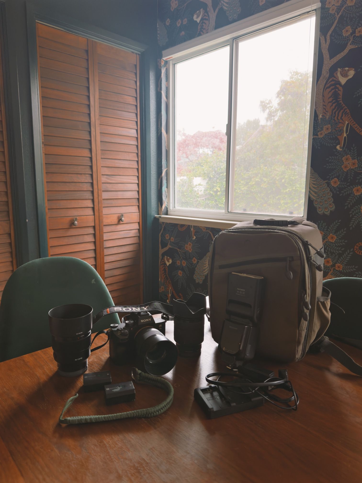 Sony Alpha A7 III + Sony Lenses