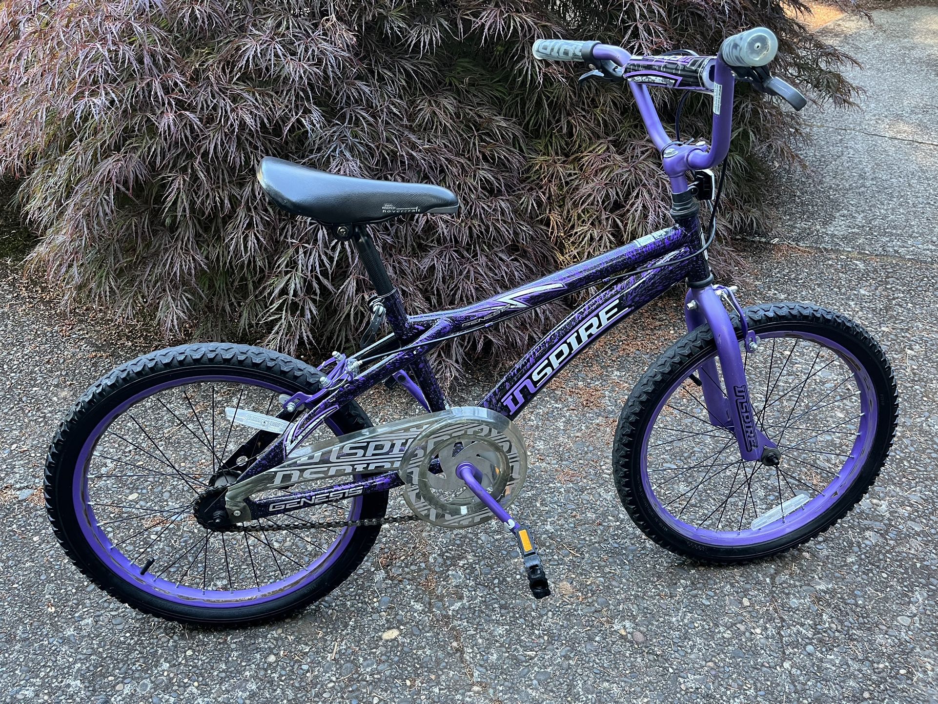 20” Bike (Inspire)