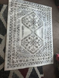 4x5.5 Accent Rug 