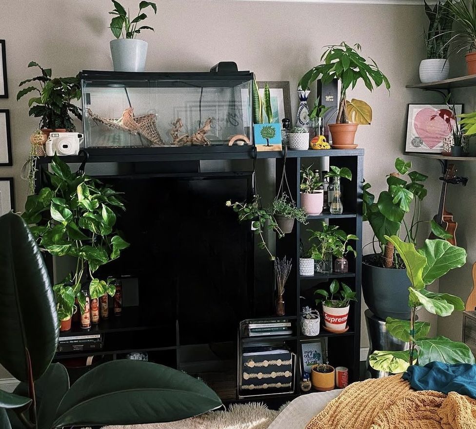 IKEA TV Storage Unit (LAPPLAND)