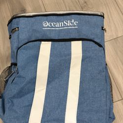 Insulated Beach Bag Cooler & Other Bags 