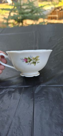 Royal Rose Fine China Tea Cup and Saucer Set