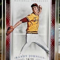 2015 Panini National Treasures Collegiate Silver #84 Randy Johnson /25 USC