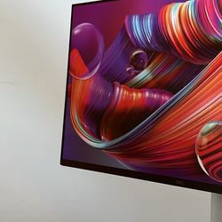 Dell 24” Monitor With Adjustable Stand