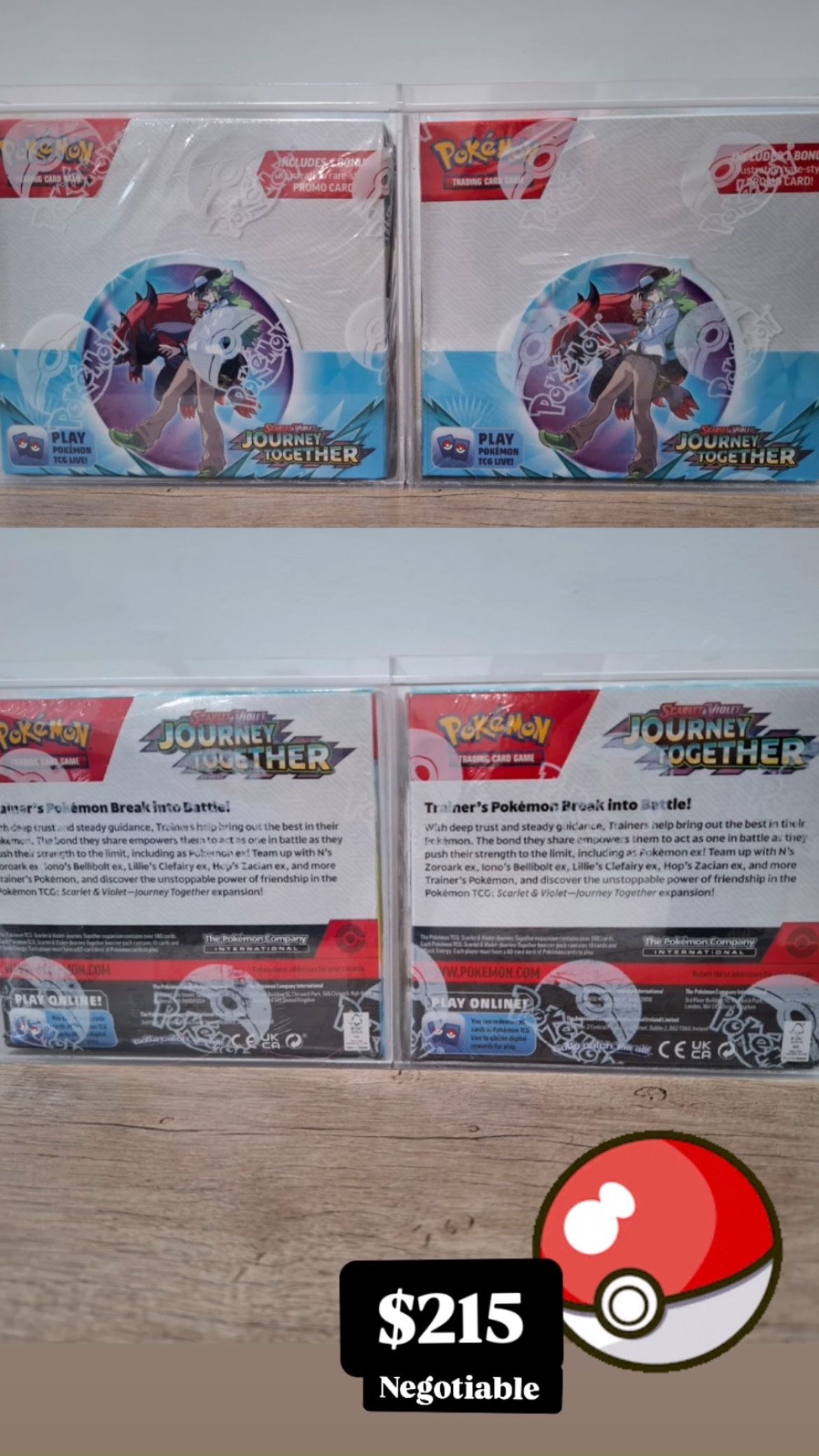 Pokémon Journey together