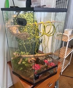 Reptile Tank