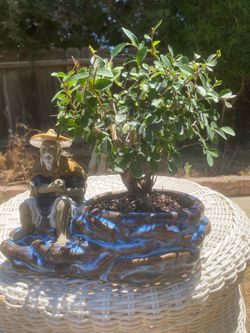 $90 In a beautiful Chinese bonsai pot $90