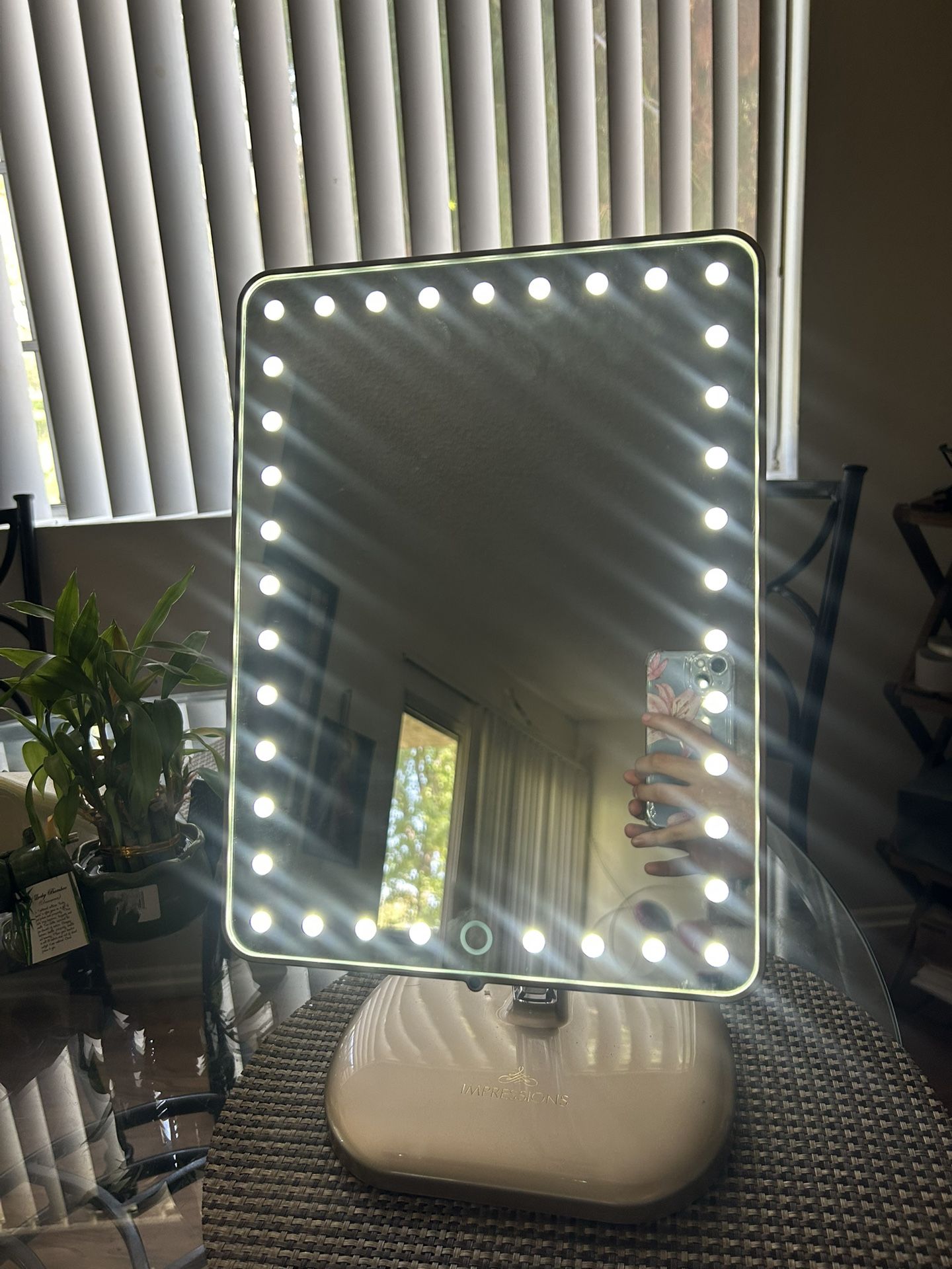 Impressions Vanity Touch Pro Led Mirror