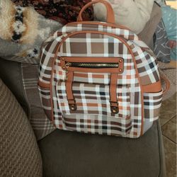 backpack/ back purse