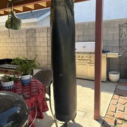 PBES BOXING BAG