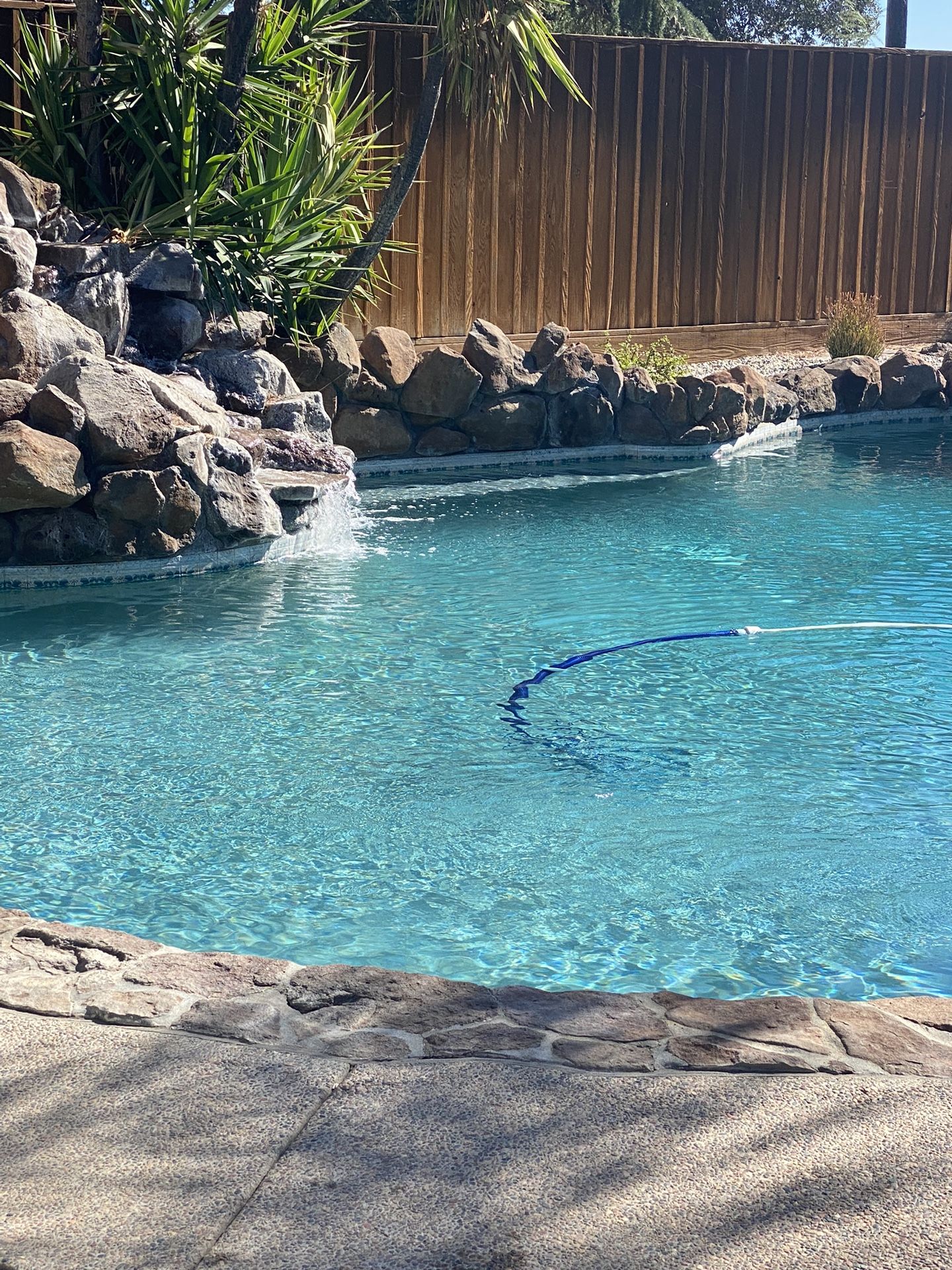 Pool Maintenance