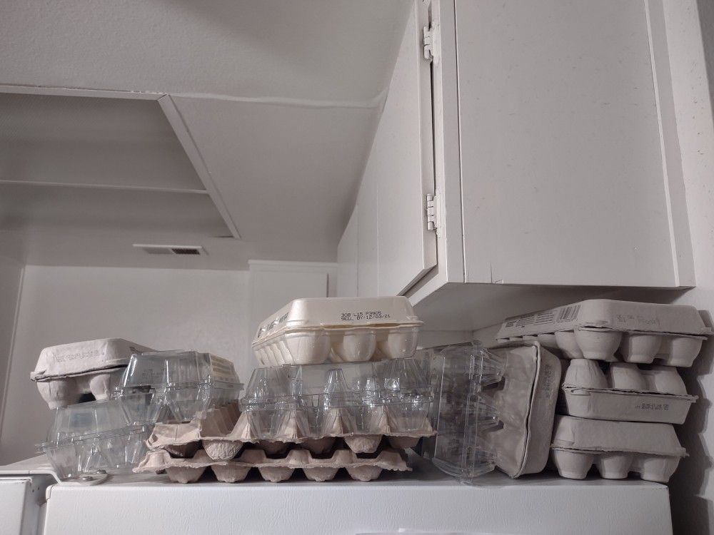 Free Egg Cartons
