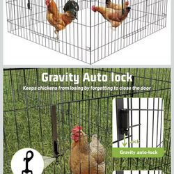 Metal Chicken Coop