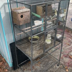   Bird Cage In Perfect Condition 