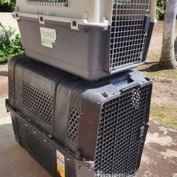 dog crates 