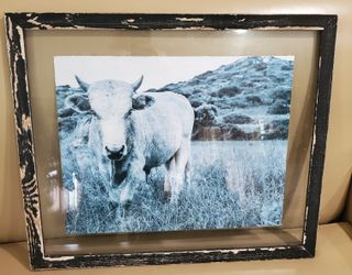 Cow Farm Picture Frame