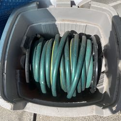 Garden Hose with Reel