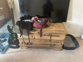 Storage Trunk