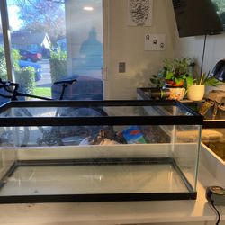 20 Gallon Fish Tank 