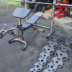 Weight Bench & Weights!