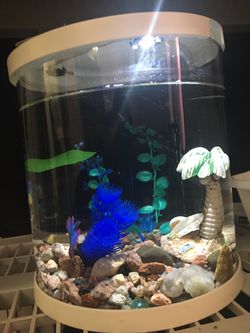 3 gallon fish tank