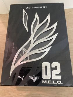 Like New Melo Shoes 