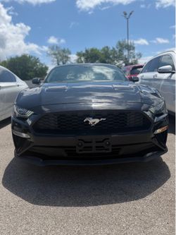 2020 Ford Mustang