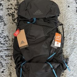 Gregory Focal 48L Backpack