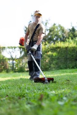 Weed cutter