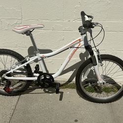 Specialized 20in MTB