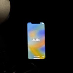 iPhone X