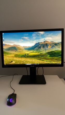 ASUS Computer Monitor