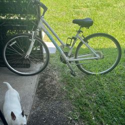 Cannondale Aluminum Women’s-bike
