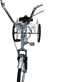 Mantis Trirad Gray Cruiser Bike