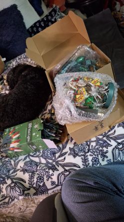 Christmas Lights Bundle 