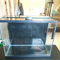 14 g fish tank with lid