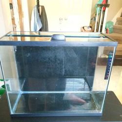 14 g fish tank with lid