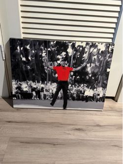 Canvas Wall Art (tiger woods)