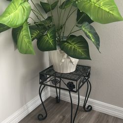 Plant With Metal Stand 