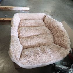 Dog Beds