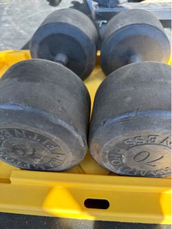 70LB HAMPTON Dumbbells