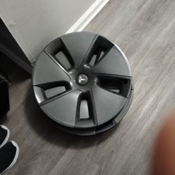 Tesla Model 3 Hubcaps 