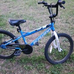 Schwinn 20in Boys Bike