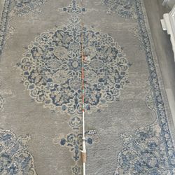 Profishiency Fishing Rod 