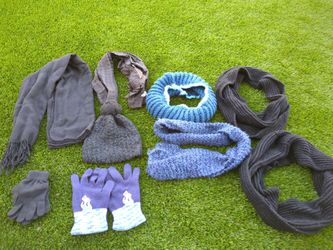 Winter Accessories Lot - Scarves, Infinity Scarves, Beanies, Gloves